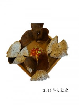 2016年陳皮